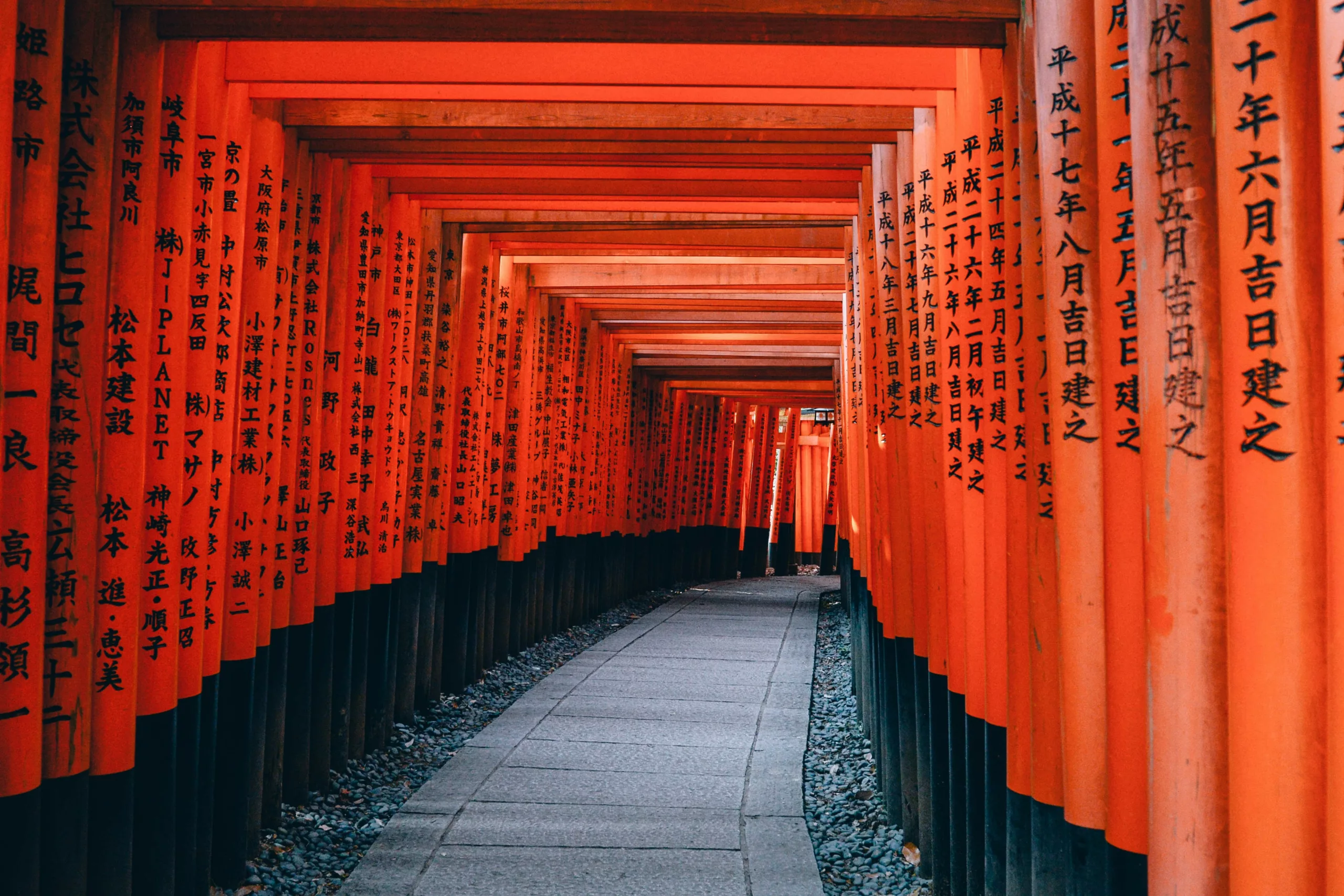 Japan’s rally