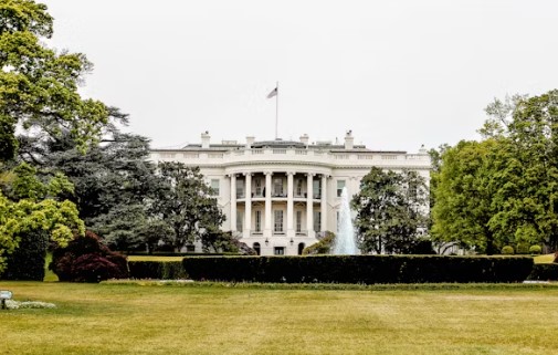 A Month of Trump